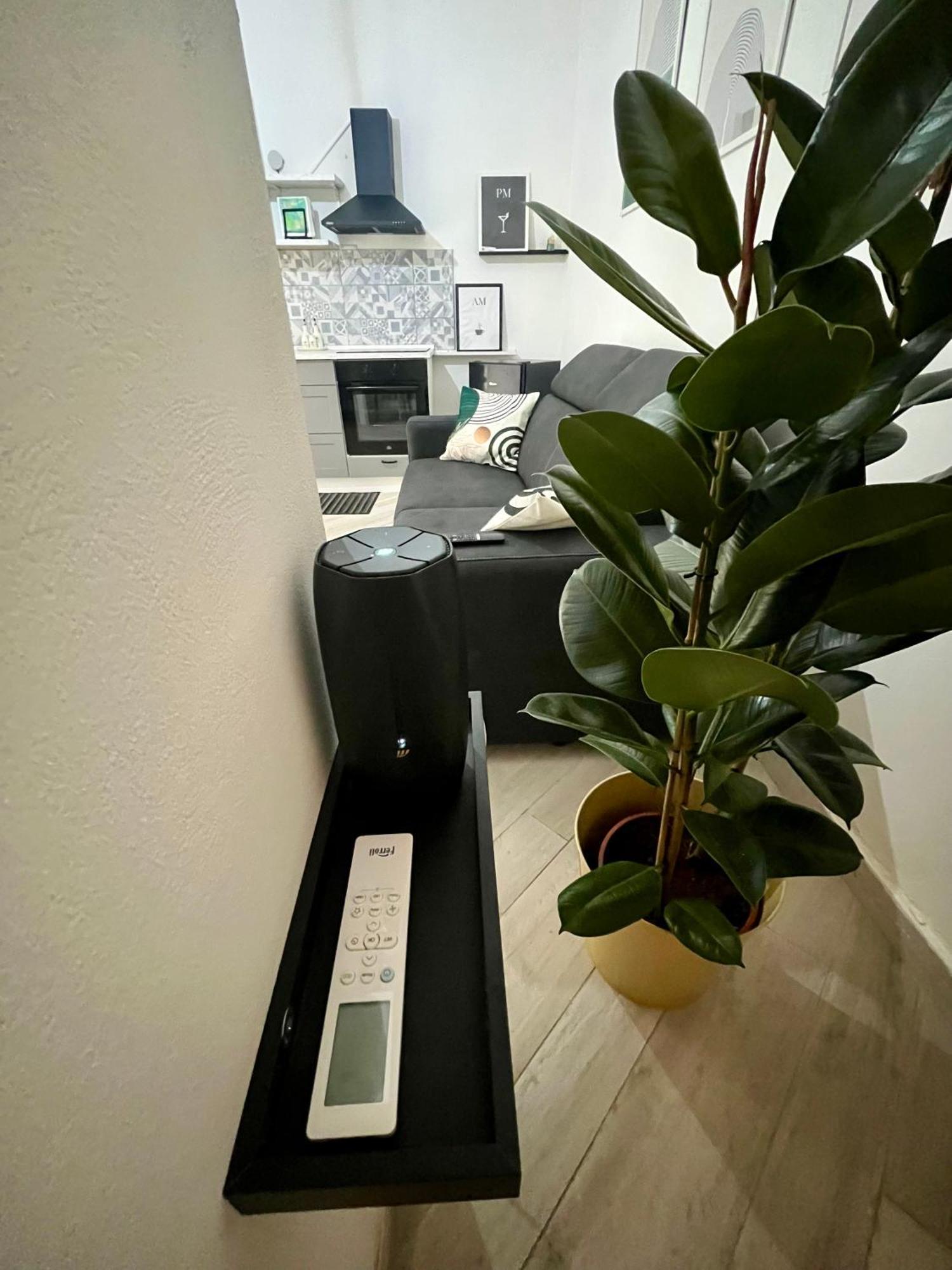 Casa Vale Parco Del Valentino Apartman Torino Kültér fotó